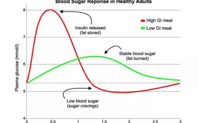 Quatre piliers pour maintenir des niveaux sains de sucre sanguin