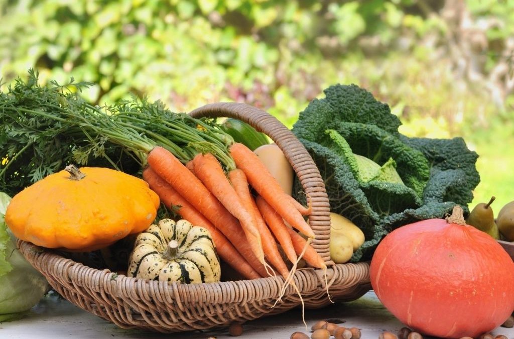 Pourquoi les produits locaux et de saison sont importants pour votre santé
